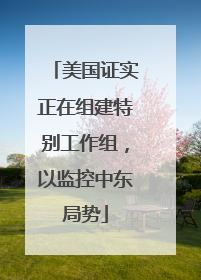 美国证实正在组建特别工作组，以监控中东局势